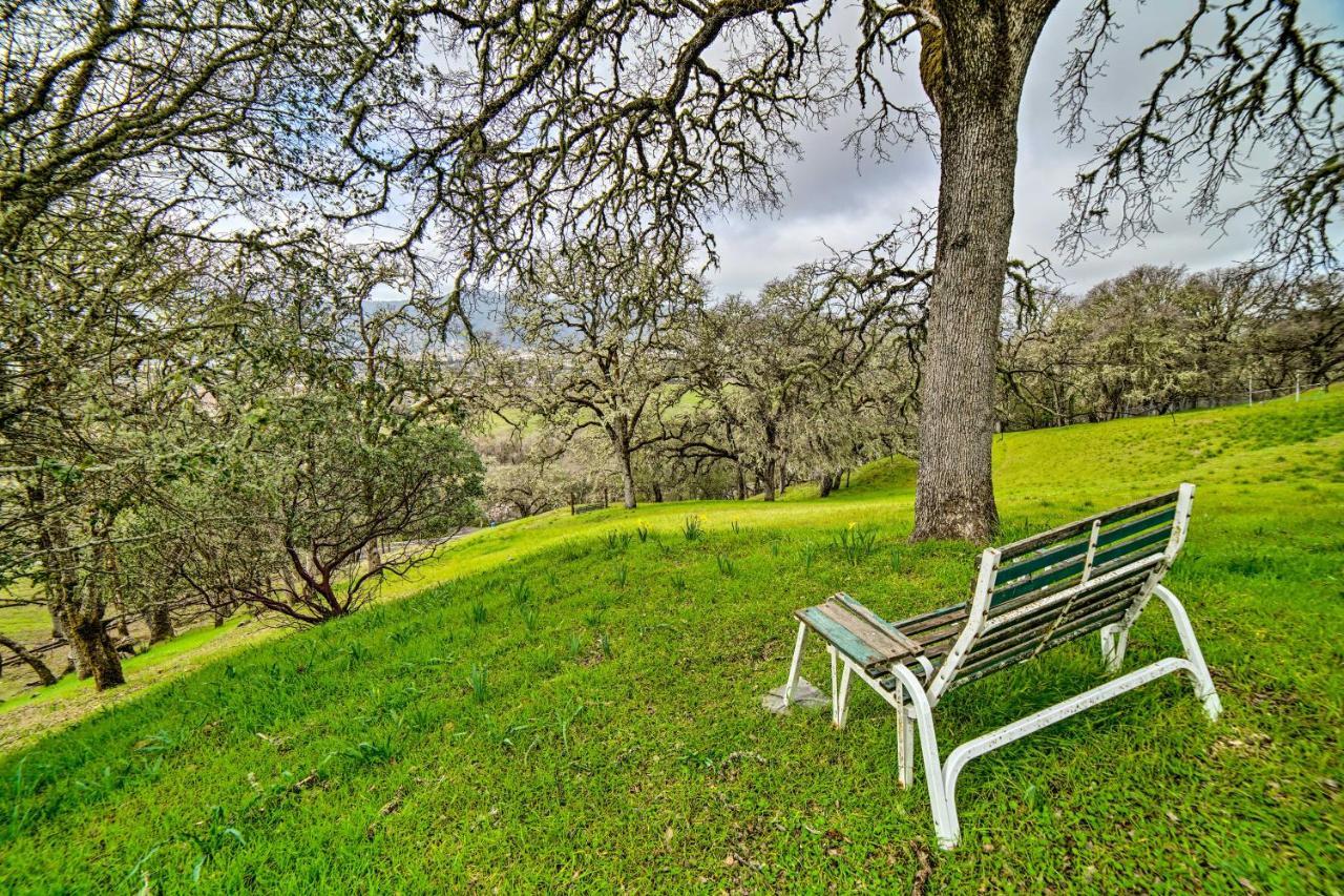 Hilltop Loft Ukiah Vacation Rental! 외부 사진