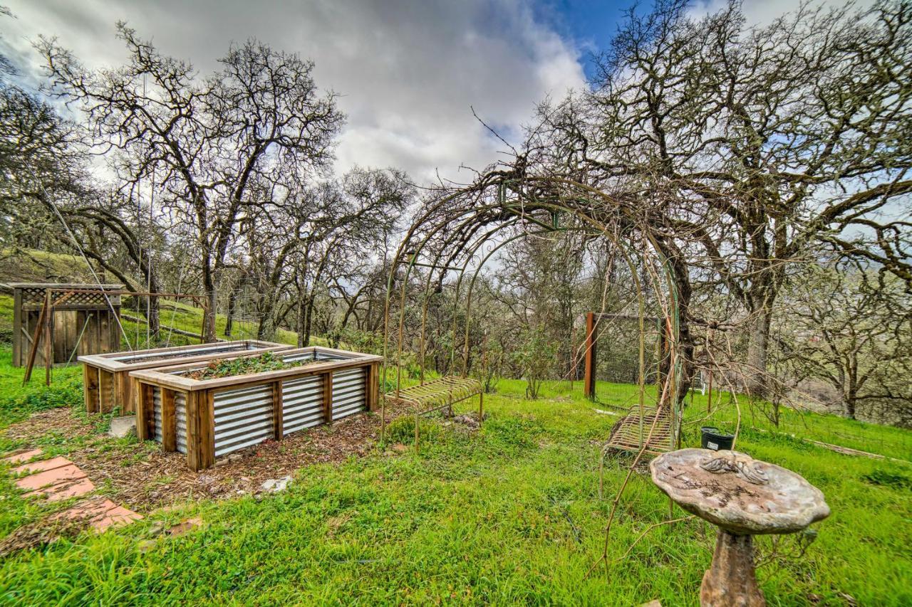 Hilltop Loft Ukiah Vacation Rental! 외부 사진